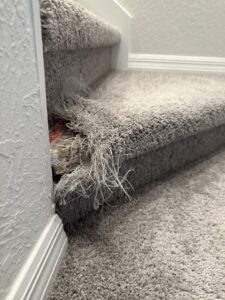 Damaged carpet stair edge with loose fibers and exposed backing, requiring repair from Mr. Carpet Cleaning Orlando, FL.