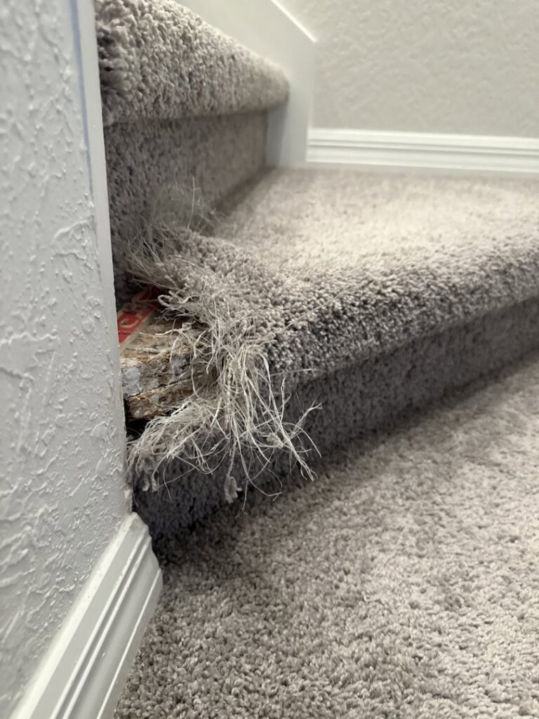 Damaged carpet stair edge with loose fibers and exposed backing, requiring repair from Mr. Carpet Cleaning Orlando, FL.