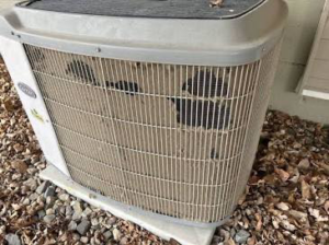 A damaged Carrier outdoor air conditioning unit needing repair from Missouri River Heating & Cooling in Mandan, ND.