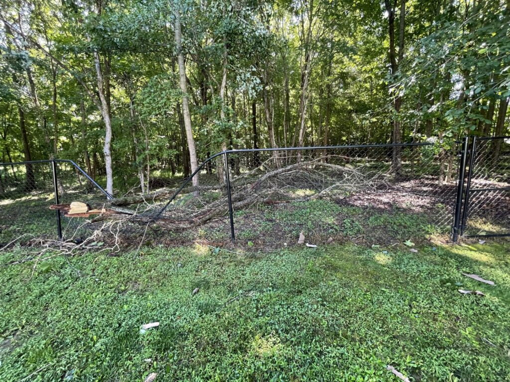 A damaged chain-link fence with fallen tree debris, indicating a potential repair job by Align Fence Builders in Durham, NC.