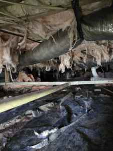 Damaged insulation in a crawl space, often a sign of rodent or wildlife activity, handled by Bug Blasterz LLC in Huntsville, AL.