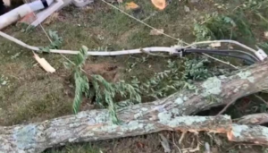 Damaged electrical service wires lying on the ground after a storm, requiring expert repair from Kevin R Curt Electric Inc in Fall River, MA.