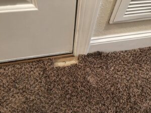 Damaged and frayed carpet at a doorway, indicating a need for repair or stretching by Fletcher's Carpet Cleaning & Stretching in Knoxville, TN.
