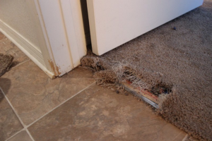 Close-up of a damaged and frayed carpet edge needing repair near a doorway, a service offered by Huntsville Carpet Tech in Huntsville, AL.