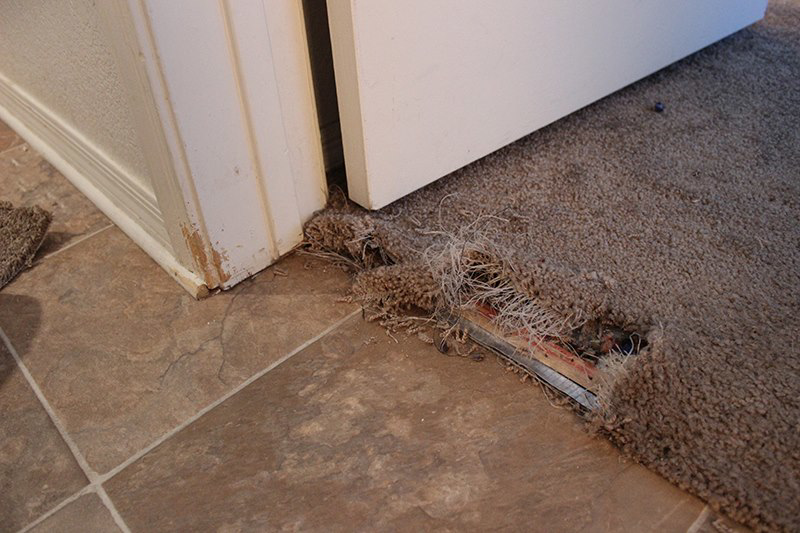 Close-up of a damaged and frayed carpet edge needing repair near a doorway, a service offered by Huntsville Carpet Tech in Huntsville, AL.