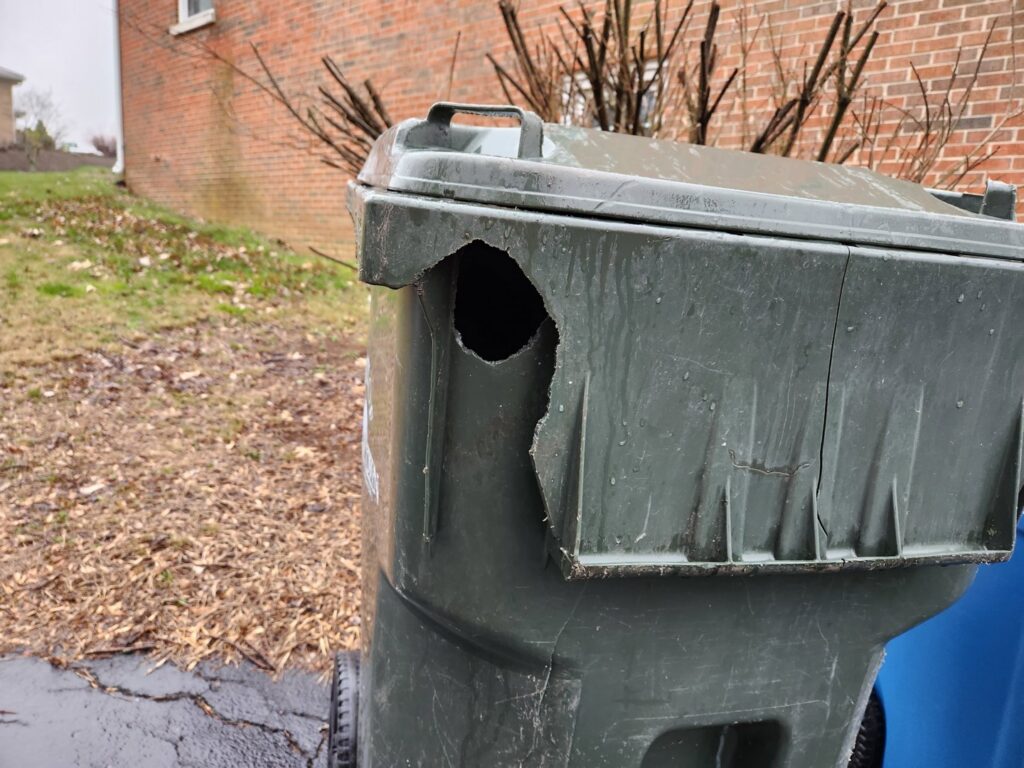A garbage can with a large hole chewed through the side, indicating wildlife damage, addressed by S-Tier Wildlife Control LLC in Lexington, KY.
