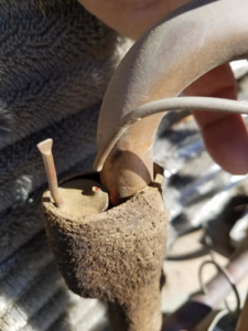 Close-up of a damaged HVAC coil with a nail, showing a repair need by GPS Mechanical LLC in Phoenix, AZ