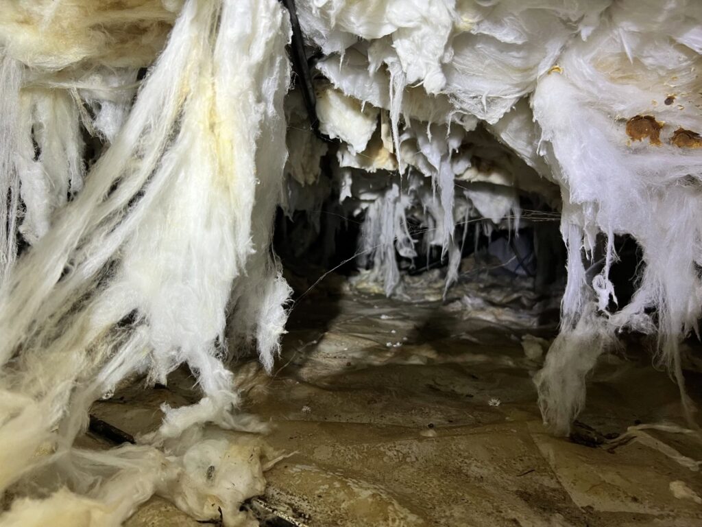 Damaged insulation in a crawl space, indicating potential pest or moisture issues, by Perry Crawl Space & Pest Control Solutions LLC in Chesapeake, VA.