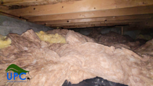Damaged insulation in a crawl space, indicating potential pest activity or a related service by Ultimate Pest Control, LLC in Eugene, OR.