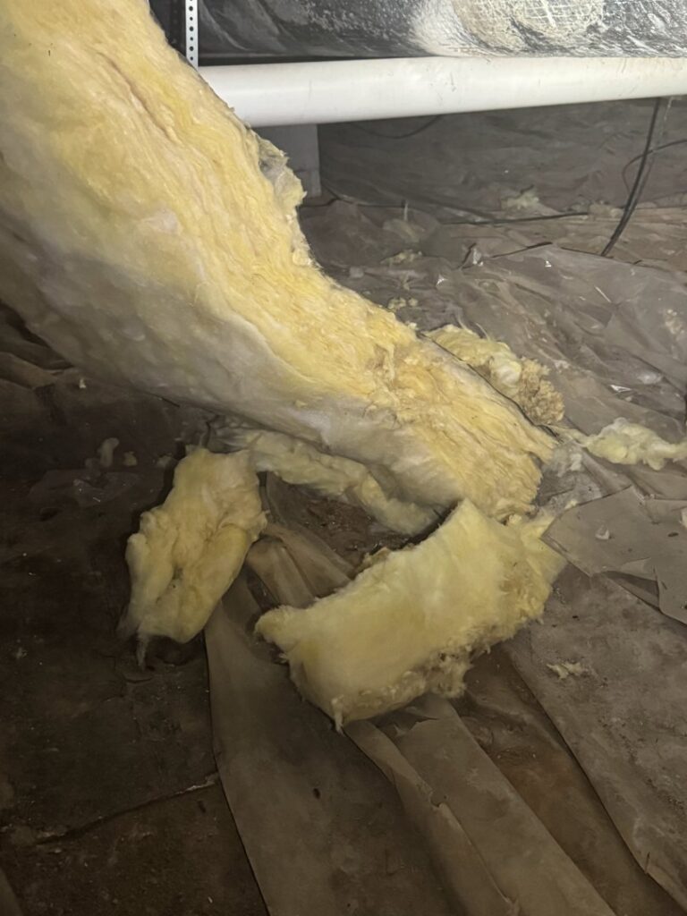 Damaged insulation in a crawl space or attic, a common sign of wildlife activity requiring remediation from Elite Wildlife Removal and Prevention in Nashville, TN.