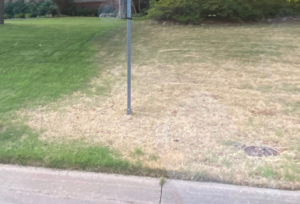 A damaged lawn with a large area of brown grass, a common sign of pest issues addressed by Pinkston's Turf Services in Tulsa, OK.