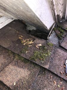 Damaged roof corner with debris, indicating a potential wildlife entry point, inspected by Evictus Wildlife Solutions in South Bend, IN.