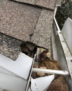 Damaged roof edge and fascia board, showing a clear entry point for wildlife into a home, addressed by ARC Animal Removal & Control in Cincinnati, OH.