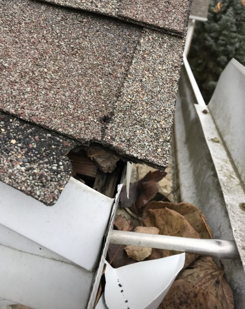 Damaged roof edge and fascia board, showing a clear entry point for wildlife into a home, addressed by ARC Animal Removal & Control in Cincinnati, OH.