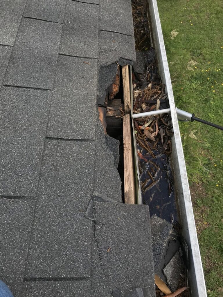 Damaged roof shingles and a clogged gutter, often indicative of wildlife activity, addressed by The Squirrel Guys in Birmingham, AL.