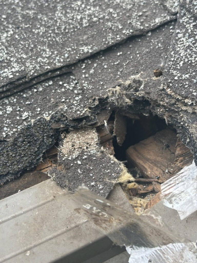 Damaged roof shingles with a visible hole, indicating a potential wildlife entry point, inspected by KC Pest Experts in Olathe, KS.