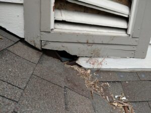 Damaged roof vent and siding, indicating a wildlife entry point, addressed by Kansas Wildlife Pros in Wichita, KS.