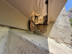 Damaged soffit and eave of a house, showing wildlife or pest entry, addressed by Critter Mitch in Shawnee, KS.