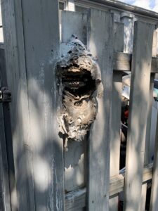 A large, damaged wasp or hornet nest attached to a wooden fence, requiring removal by Pros In Control Pest Services in Jersey City, NJ.