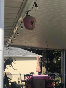 A large, damaged wasp nest hanging from a patio roof, indicating pest control work by The Bug Boss Termite and Pest Control in Indianapolis, IN.