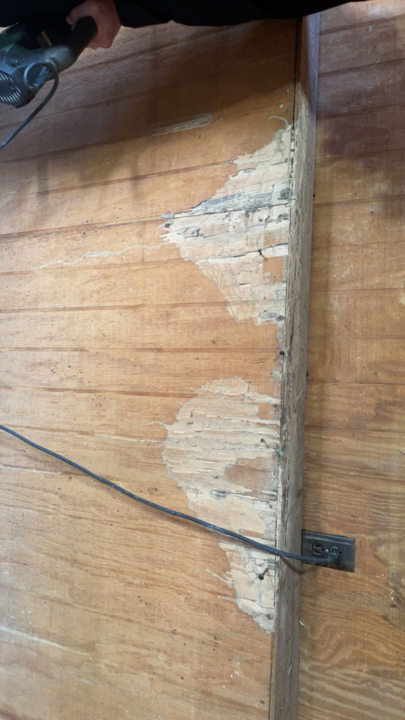 A damaged wooden wall showing signs of pest infestation, treated by Best Termite & Pest Control, Inc. in Manchester, KY.