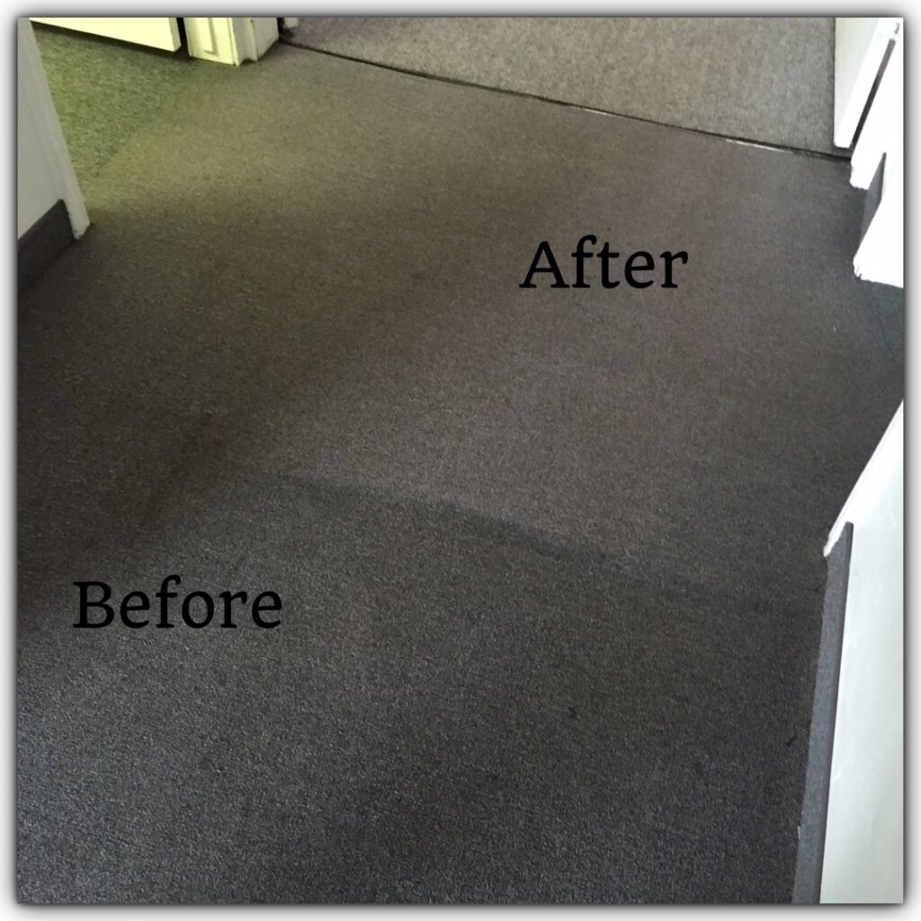 Before and after professional dark carpet cleaning by Arizona Steamers Carpet Care in Phoenix, AZ.