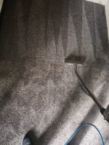 A dark carpet being professionally cleaned, showing a clear before and after, by LNC Steam Cleaning in Owasso, OK.