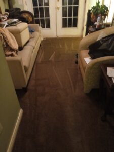 Dark brown carpet cleaning in progress, showing wet lines, by Ready2go Professional Carpet & Upholstery Cleaning in Boston, MA