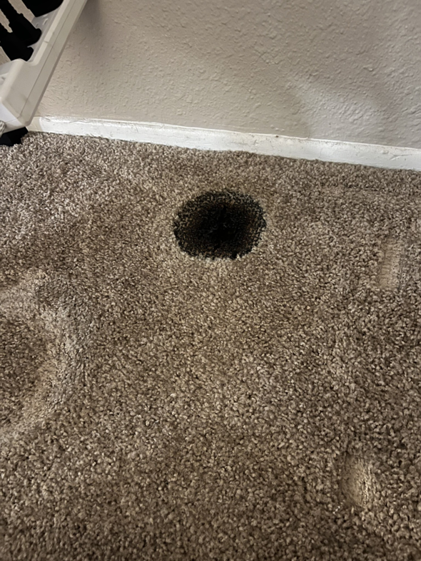 A dark, circular stain on a carpet requiring professional cleaning from Tucson Carpet Repair & Cleaning in Tucson, AZ.
