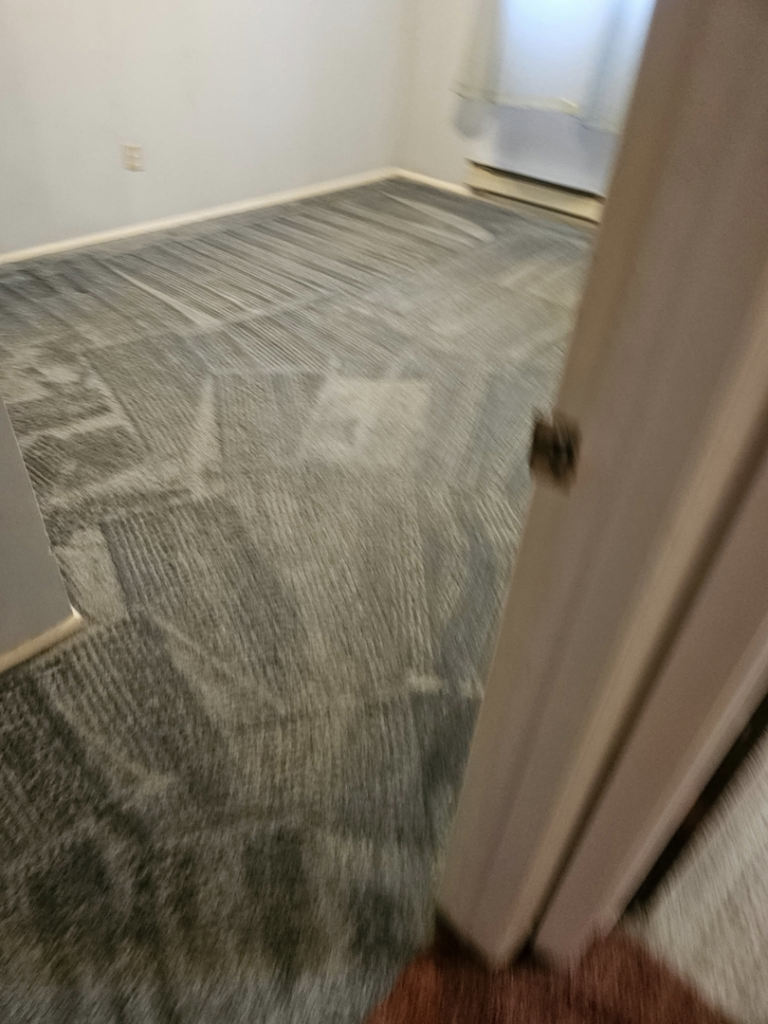 A dark grey carpet showing distinct cleaning patterns after a thorough service from Super Clean Carpet Cleaning in Idaho Falls, ID.