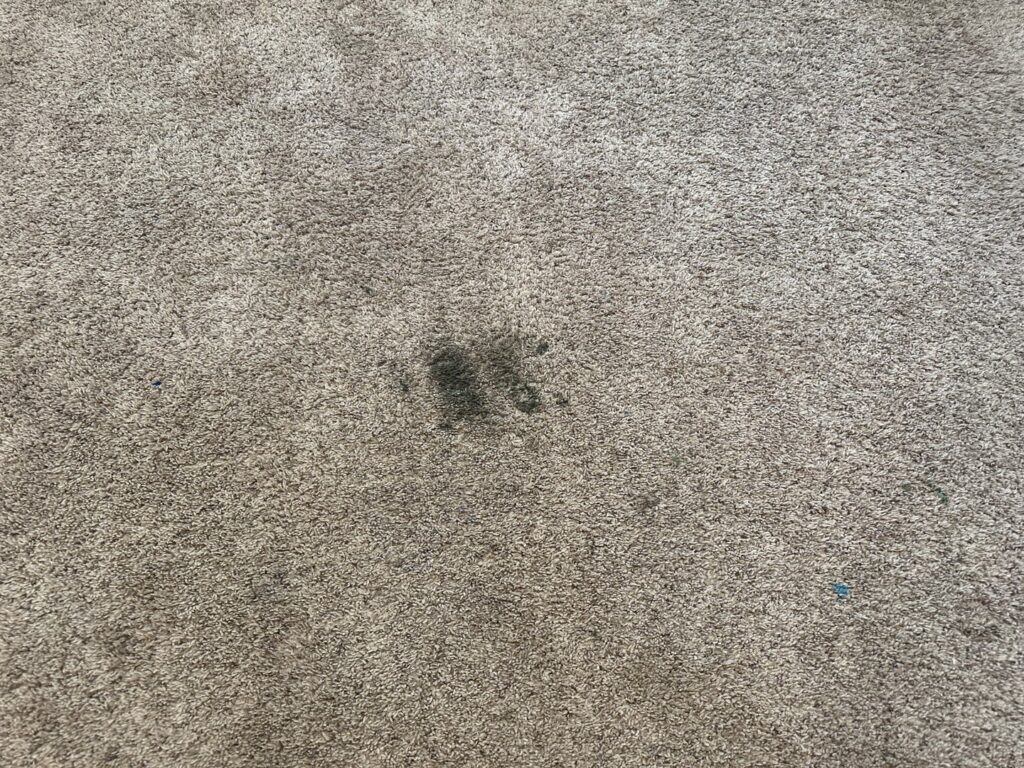 A close-up of a dark, noticeable stain on a dirty carpet before cleaning by BEST Professionals Cleaning, LLC in Lancaster, PA