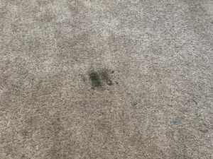 A close-up of a dark, noticeable stain on a dirty carpet before cleaning by BEST Professionals Cleaning, LLC in Lancaster, PA