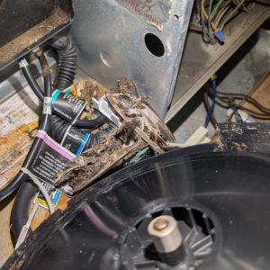 A dead bird found inside an HVAC unit, a common issue addressed by Speedy Nelson HVAC Repair in Durham, NC.