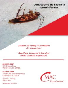 A dead cockroach lying on its back, indicating successful pest removal by CMac Pest Control in Charleston, SC.