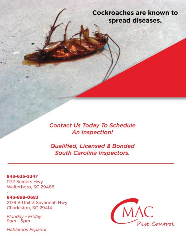 A dead cockroach lying on its back, indicating successful pest removal by CMac Pest Control in Charleston, SC.