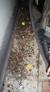 Dead cockroaches and debris in a dirty kitchen corner, indicating a severe pest problem managed by Sellers Pest Control in Summerville, SC.