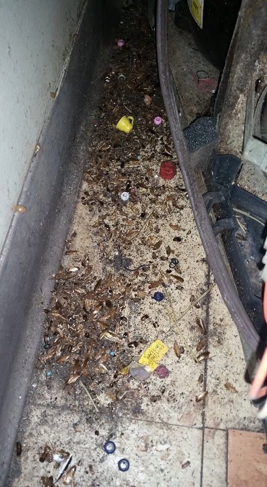 Dead cockroaches and debris in a dirty kitchen corner, indicating a severe pest problem managed by Sellers Pest Control in Summerville, SC.