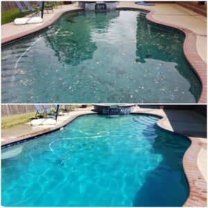Before and after photos of a debris-filled pool cleaned to sparkling blue by Pool Doctors in Cape Coral, FL.