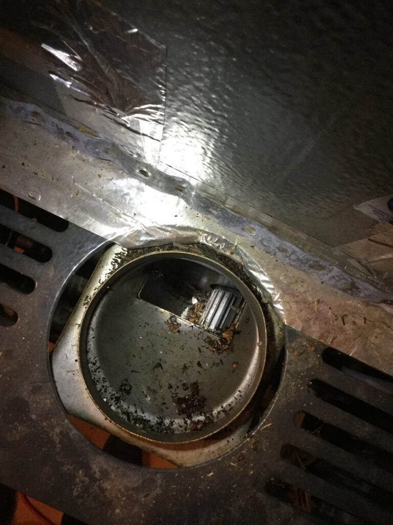 Debris and dead insects found inside an HVAC unit, highlighting a maintenance issue addressed by ColemanAir, LLC in Horn Lake, MS