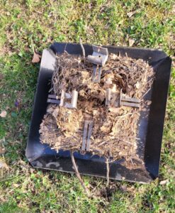A metal tray filled with leaves and debris, likely removed from a chimney or vent by Midtown Chimney Sweeps in Golden, CO.
