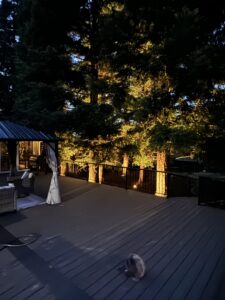 A deck area with large trees beautifully illuminated by uplighting from The Lighting Geek in Sacramento, CA.