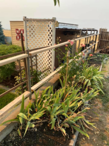 A decorative wooden lattice fence and railing installed in a garden by Ram fence in Lewiston, ID