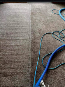 A deep carpet cleaning process underway, with a cleaning hose and wand removing dirt from a carpet by Ype Cleaning LLC in Monroe, NC.