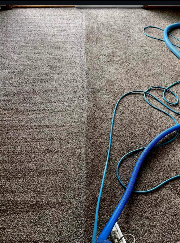 A deep carpet cleaning process underway, with a cleaning hose and wand removing dirt from a carpet by Ype Cleaning LLC in Monroe, NC.
