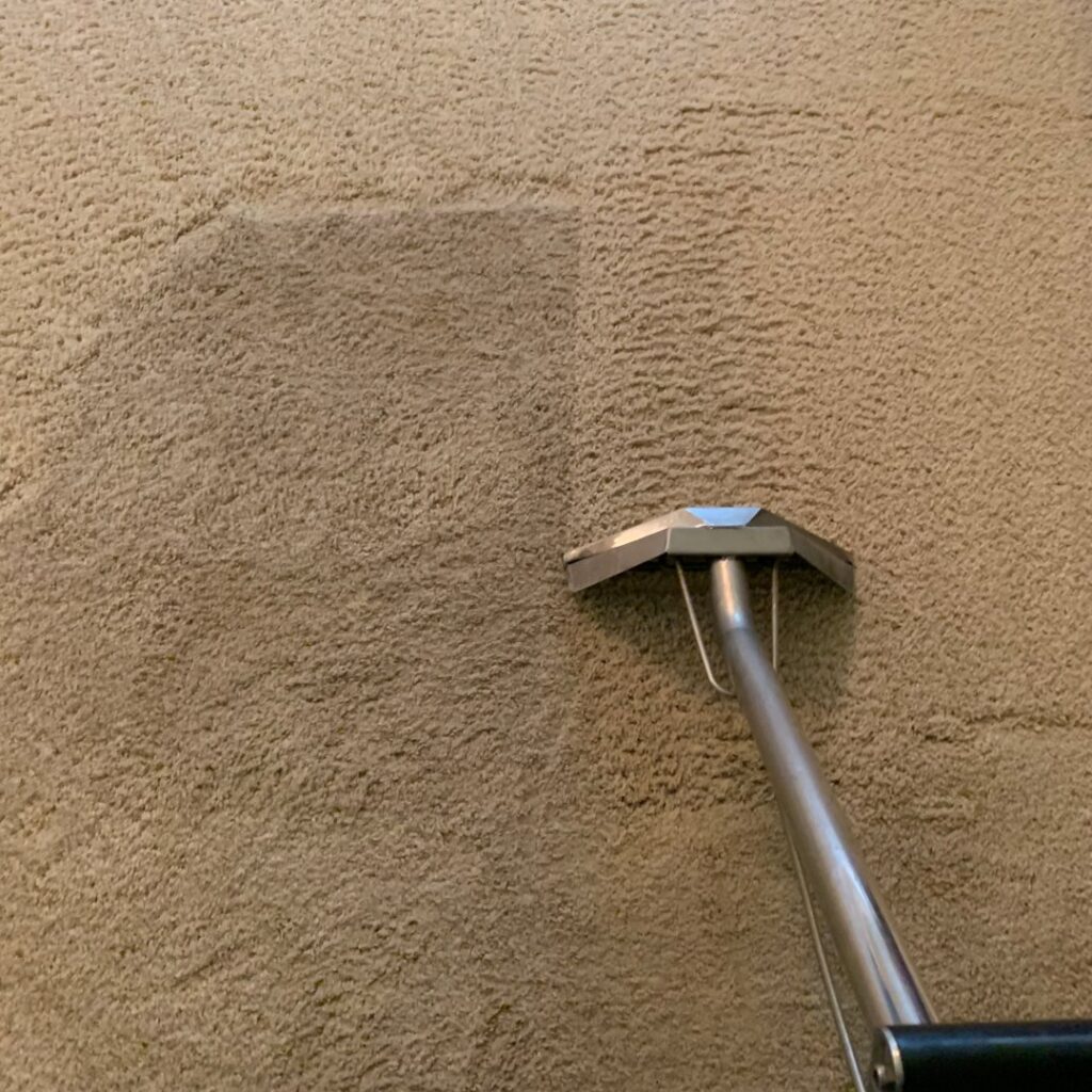 Deep carpet cleaning in progress, showing a clear difference between cleaned and uncleaned areas by Koky's Carpet Cleaning in Bakersfield, CA