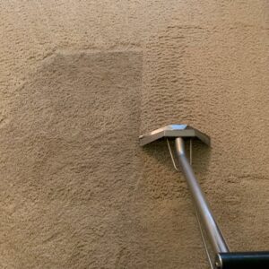 Deep carpet cleaning in progress, showing a clear difference between cleaned and uncleaned areas by Koky's Carpet Cleaning in Bakersfield, CA