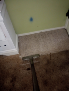 Deep carpet cleaning service in progress, revealing a clean path by C&S Carpet Cleaning in Cyril, OK.