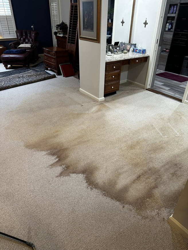 Professional deep carpet cleaning in progress, tackling a large stain in a home by Fox Cleaning Services in Lafayette, IN.