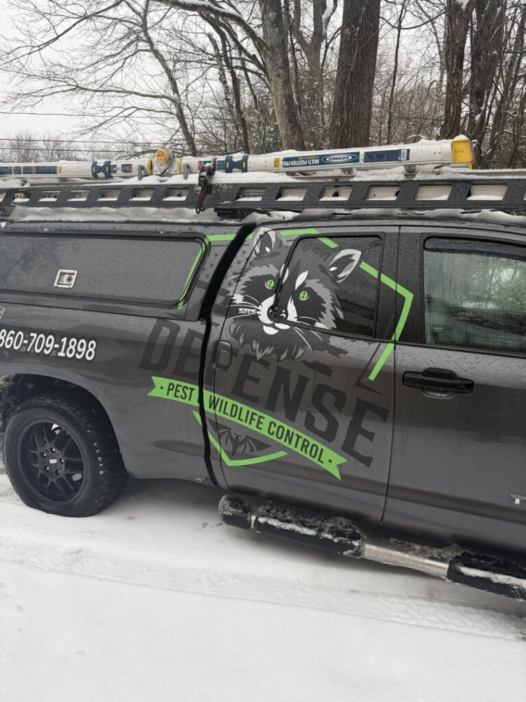 A branded Defense Pest and Wildlife Control truck with company logo and phone number, parked in the snow in Hartford, CT.