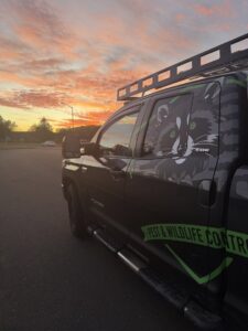 A branded Defense Pest and Wildlife Control truck with a raccoon graphic and company name, parked at sunset in Hartford, CT.